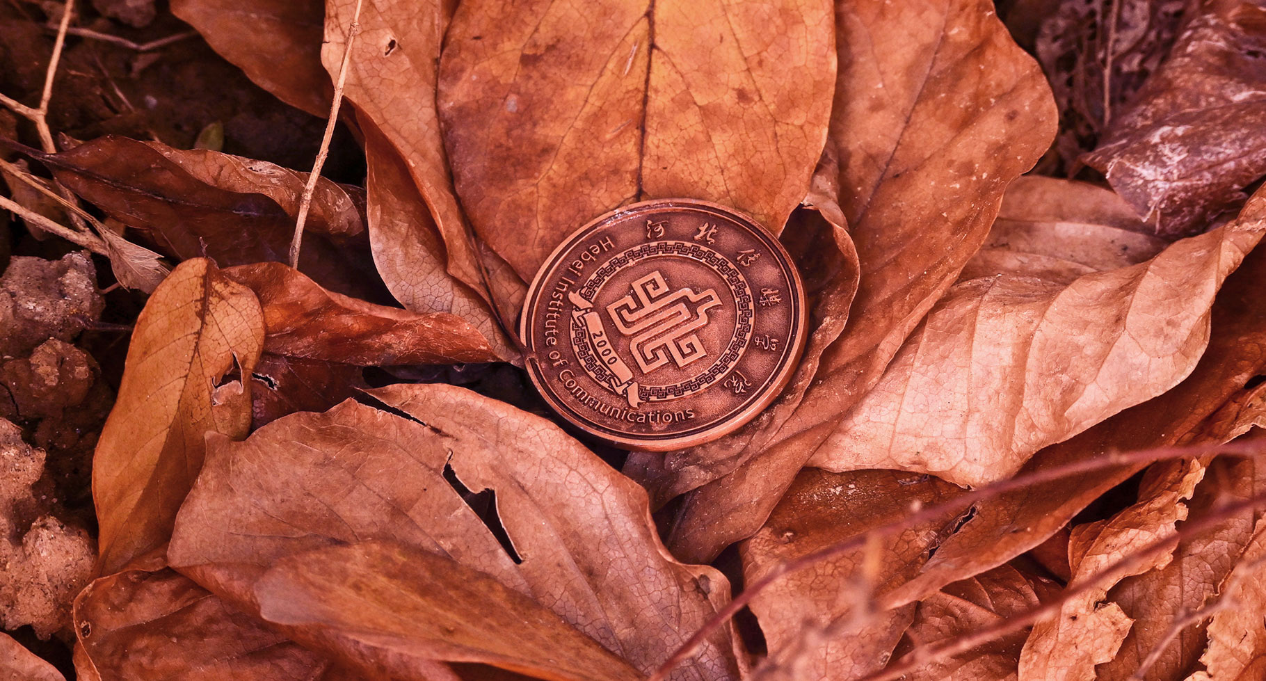 有追求就不平庸，有責(zé)任就很光榮